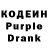 Кодеин Purple Drank Warden 239