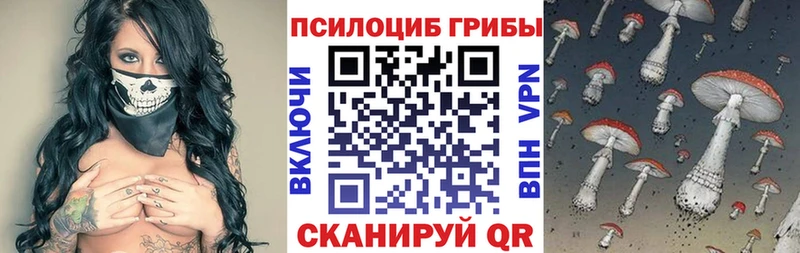 Псилоцибиновые грибы Psilocybine cubensis  Купить  Белорецк 